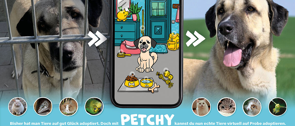Petchy – echte Tiere virtuell auf Probe adoptieren